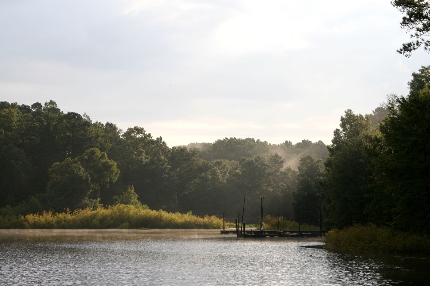 Lake O’ the Pines texas
