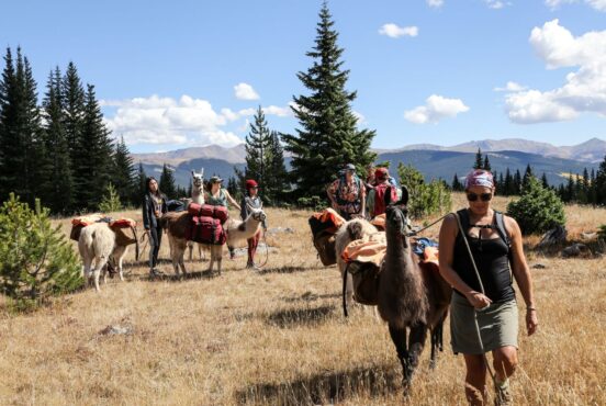 llama trekking