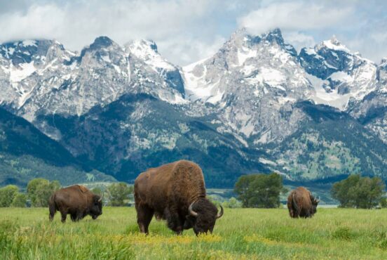 one day in grand teton national park