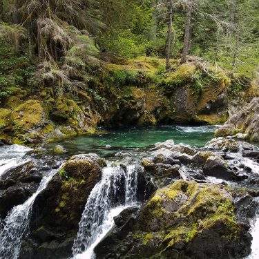opal creek trail oregon