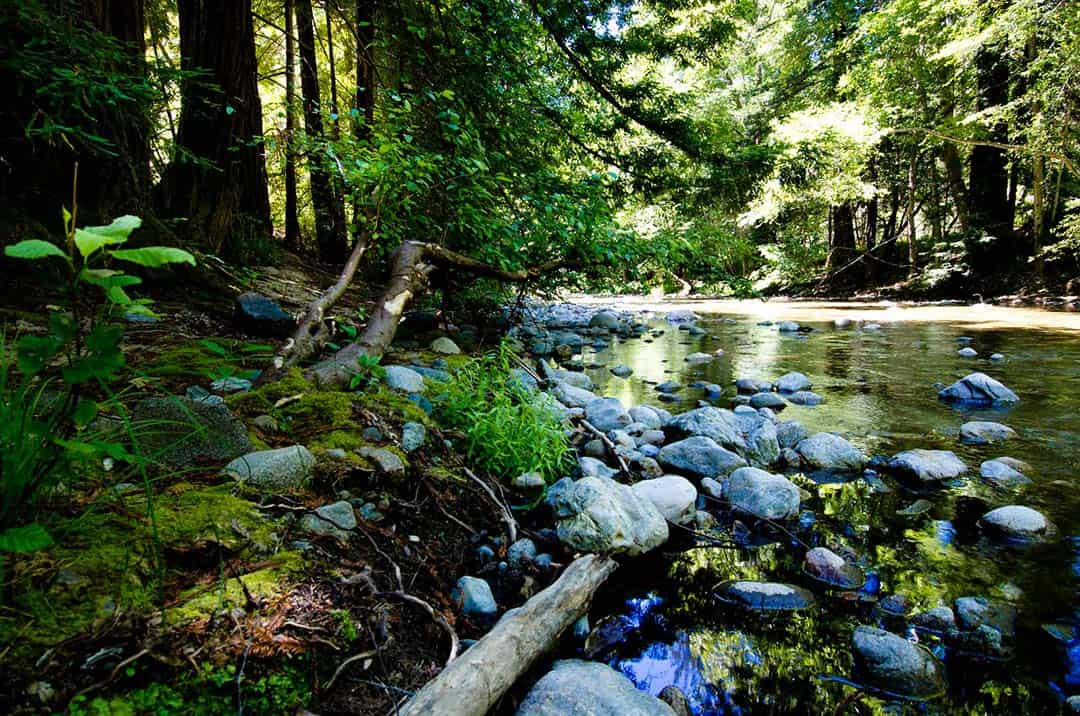Pfeiffer Big Sur Campground