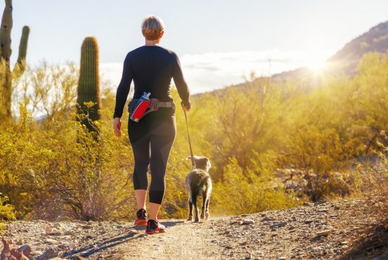 phoenix hikes with doggos