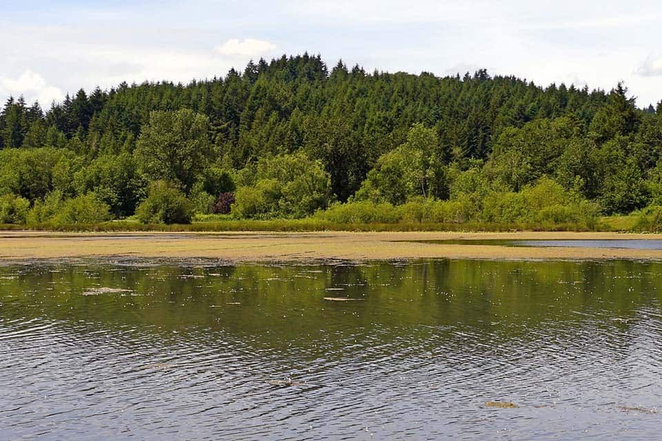 Richardson Park Campground