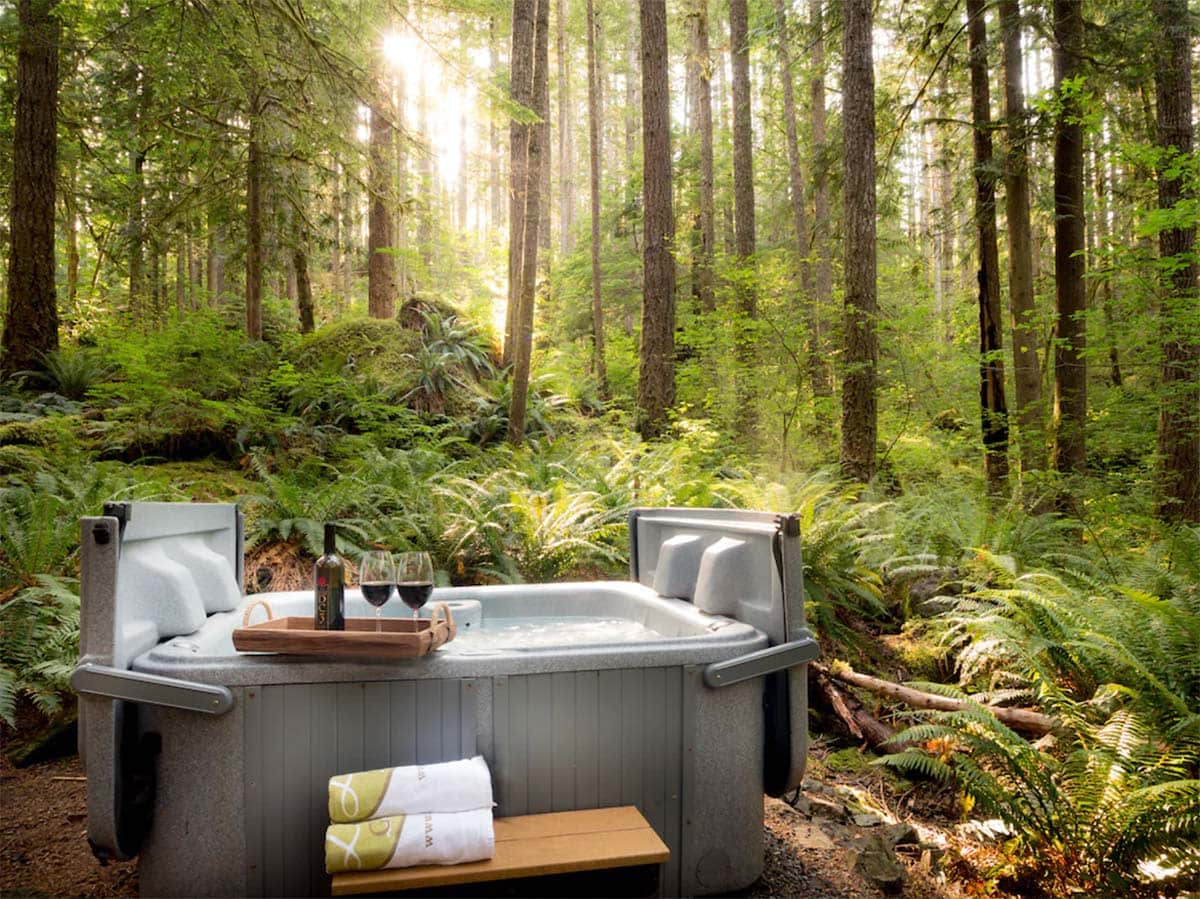 romantic getaways washington - rainforest