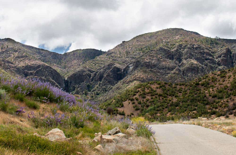 Rose Valley - Jacinto Reyes Scenic Byway