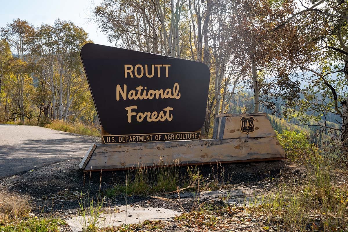 routt national forest colorado