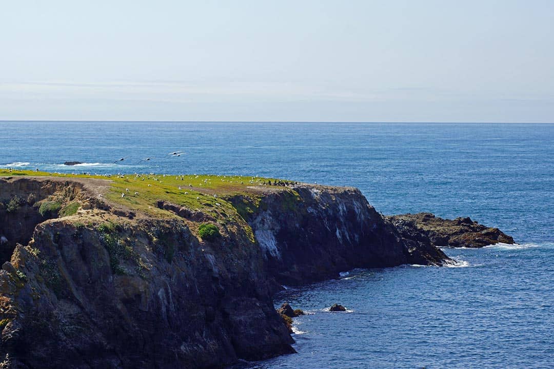 russian gulch state park