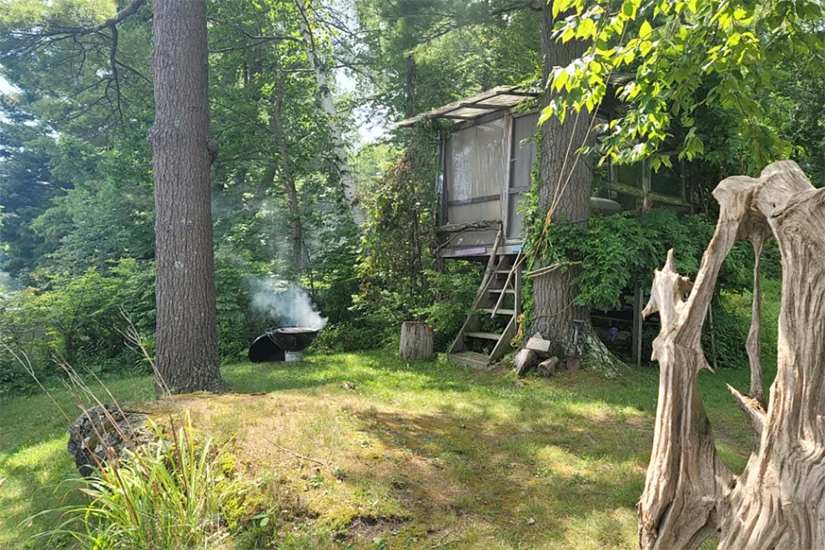 rustic treehouse massachusetts
