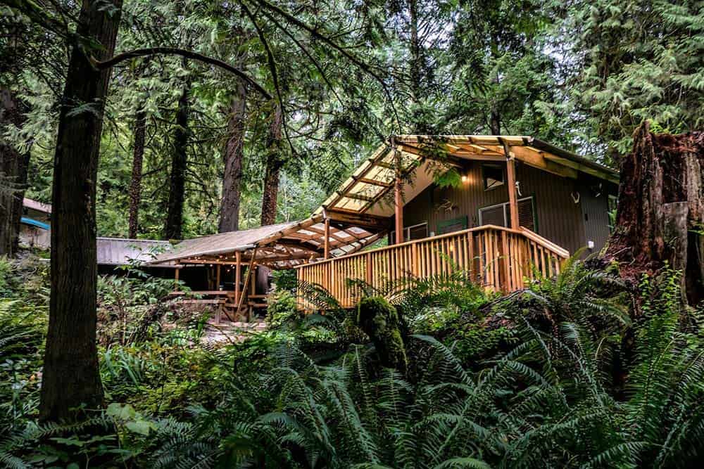 secluded washington cabin creekside