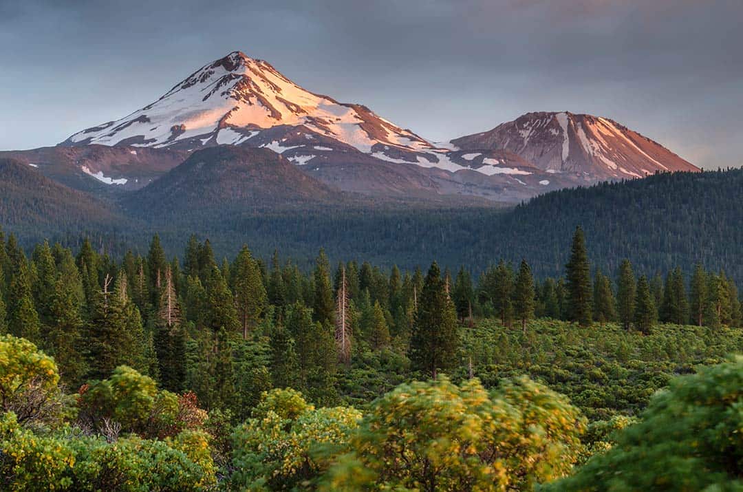 shasta-trinity national forest
