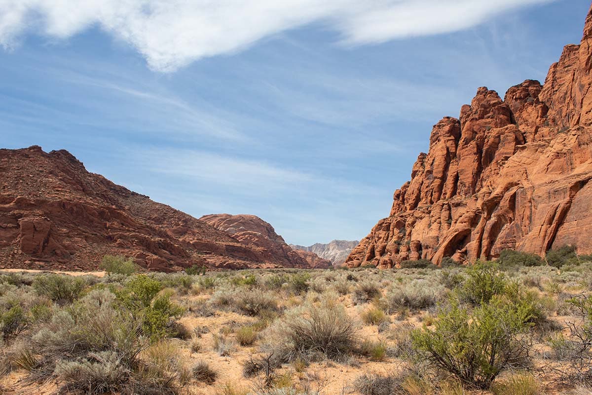 st george hikes - petrified dunes