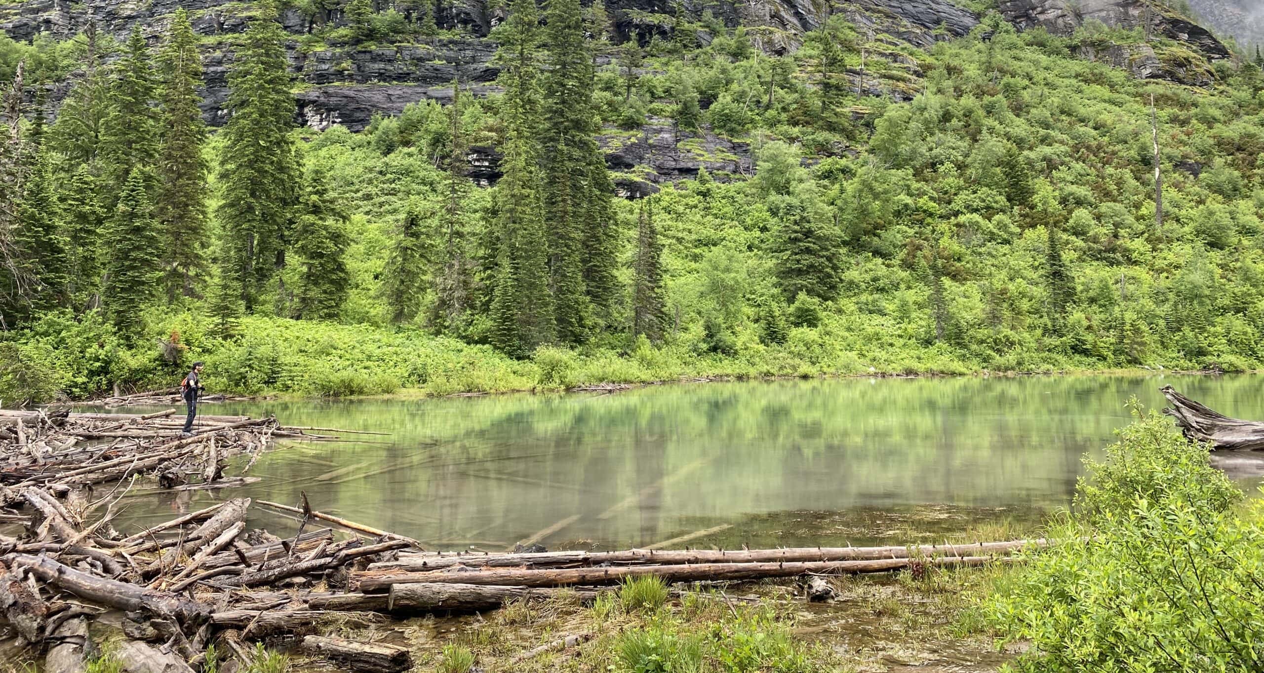 Standing on the shores of Avalance Lake looking out