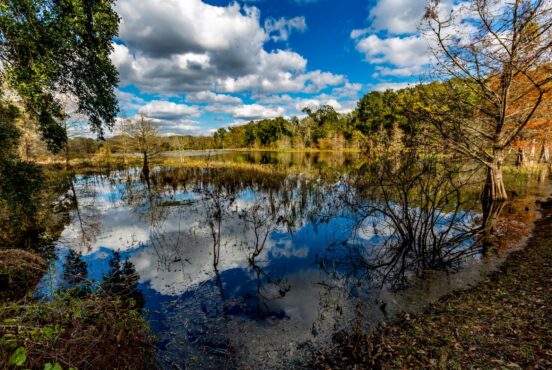 state parks near houston texas