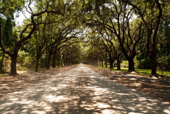 Beautiful Hikes Near Savannah, Georgia