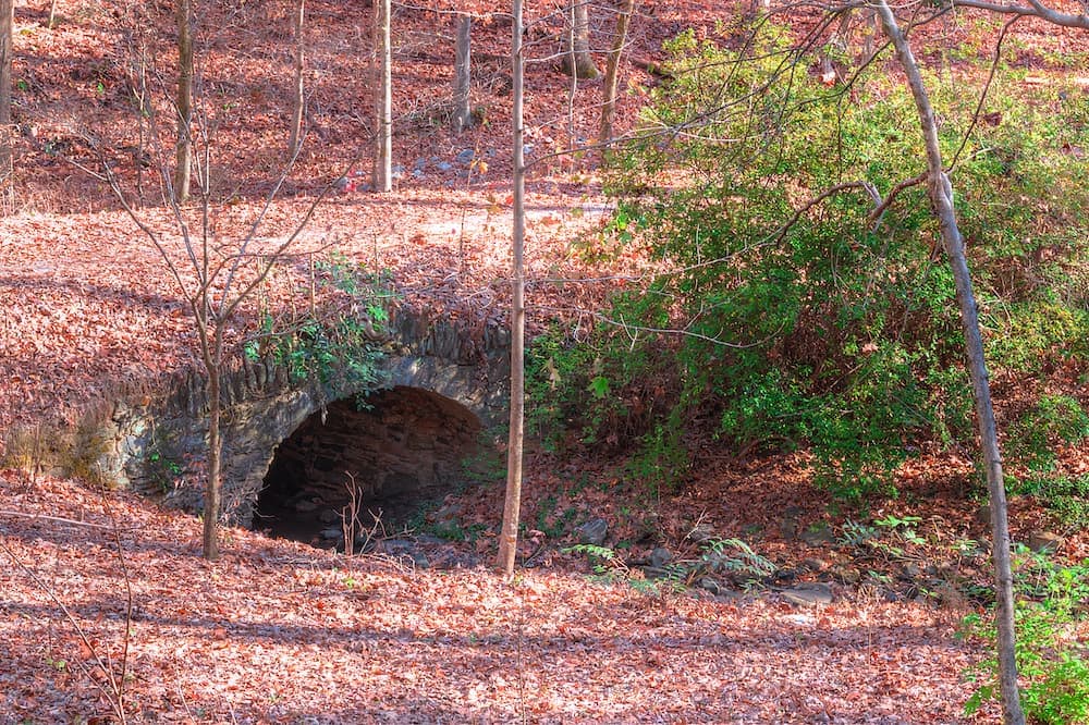 Oatland Island Wildlife Center Trails