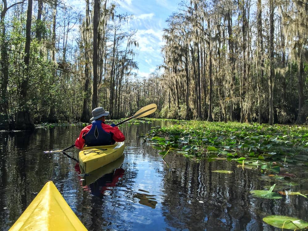 Ebenezer Creek Paddling Trail