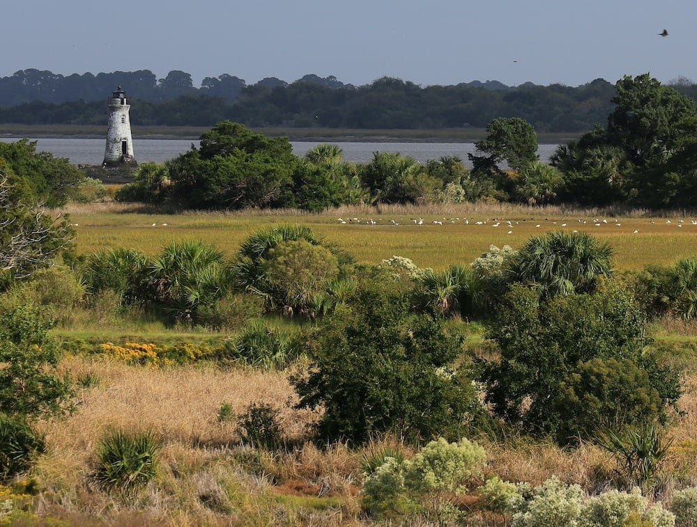 easy hikes near savannah