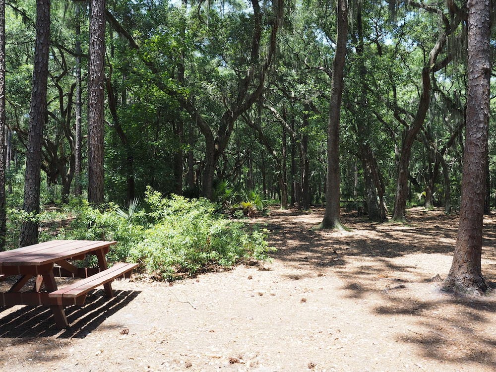 easy hikes near savanna