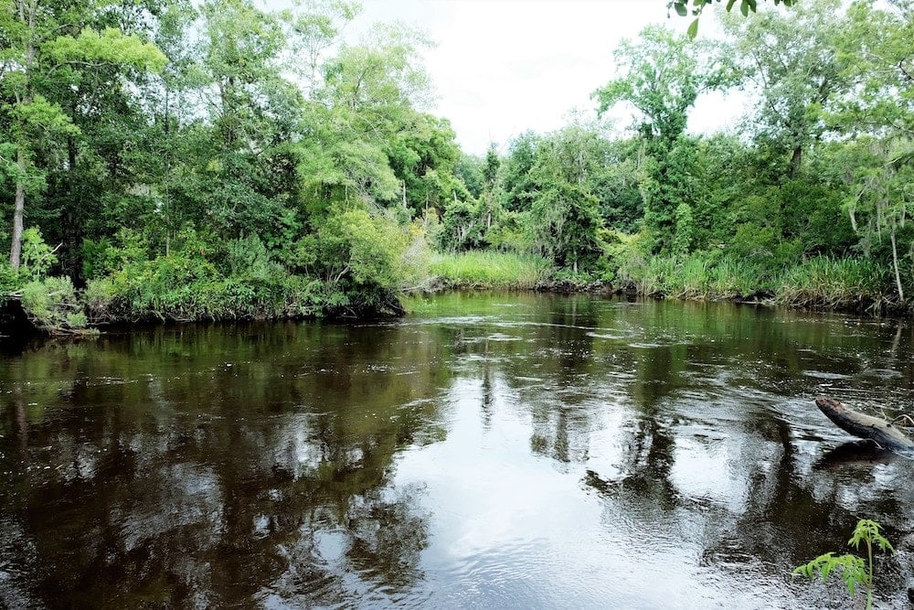 Savannah-Ogeechee Canal Trail