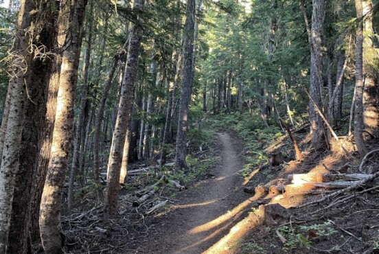 The PCT weaving through Central Oregon