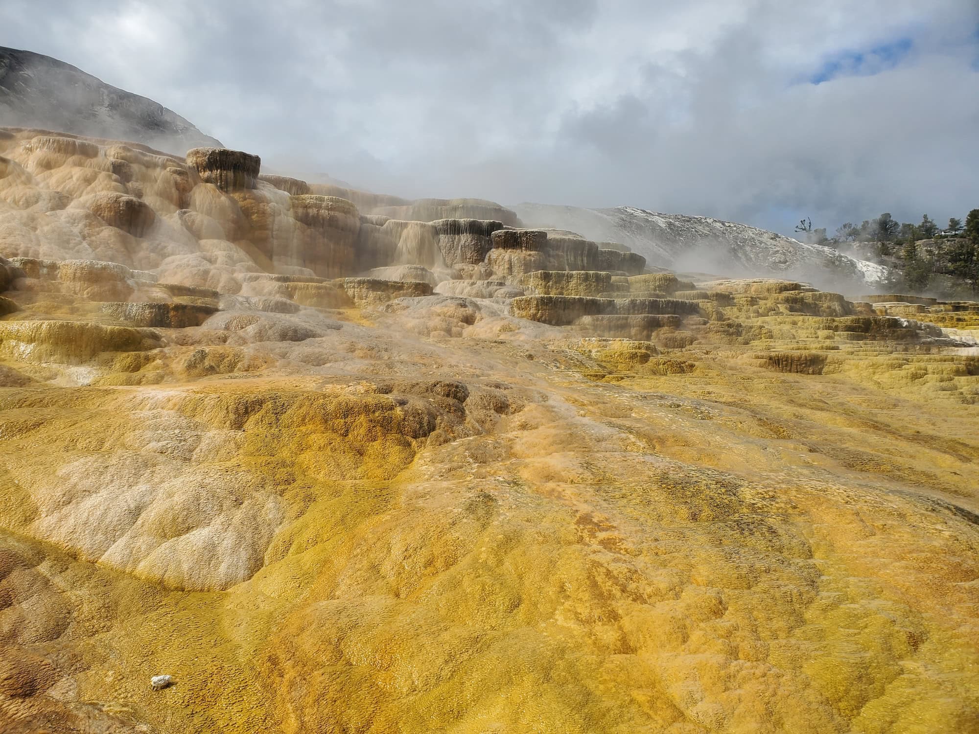 Thermal geisers in Yellowstone