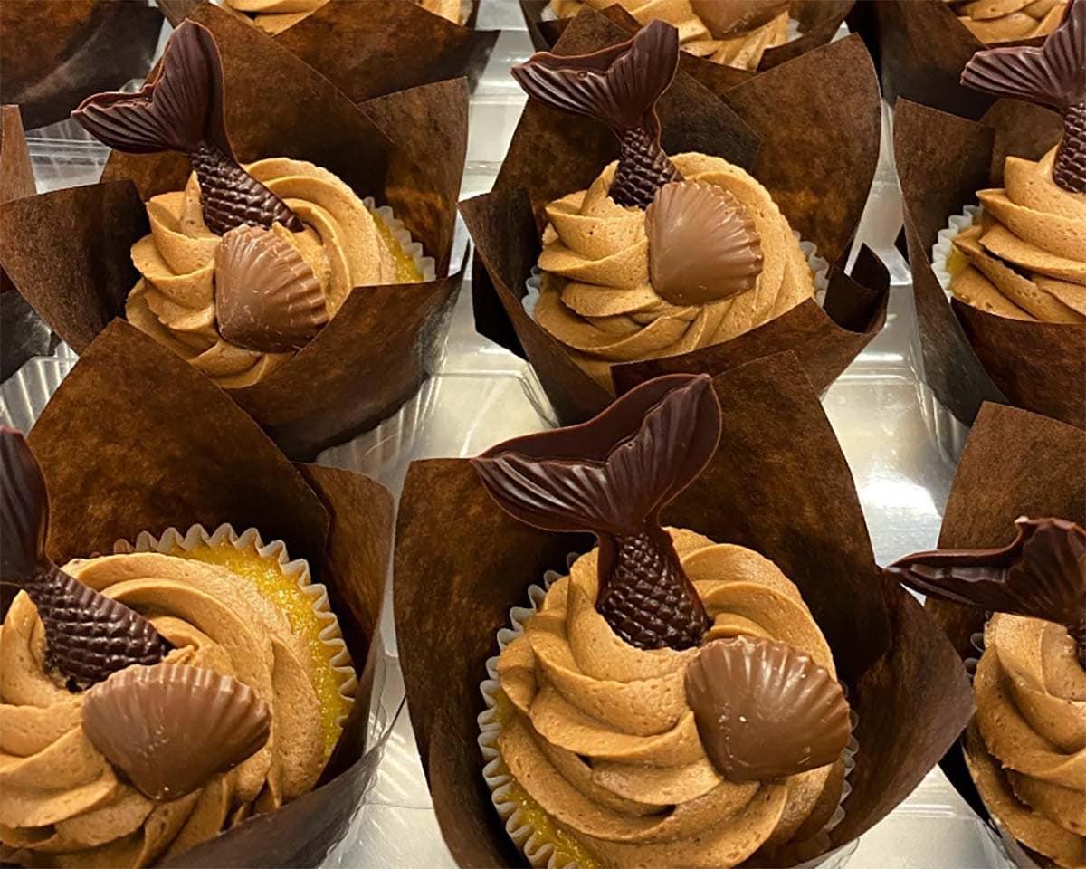 things to do connecticut fall - chocolate trail