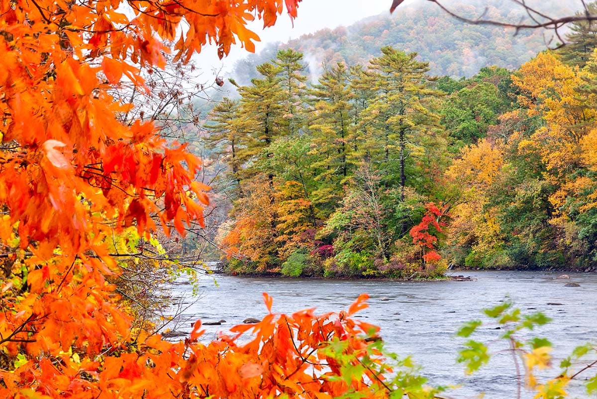 things to do connecticut fall - leaf peeping