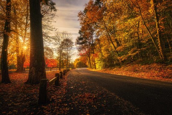 things to do in fall in connecticut