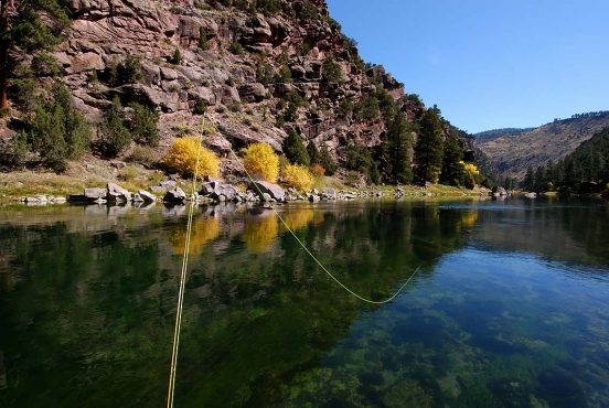 utah fly fishing