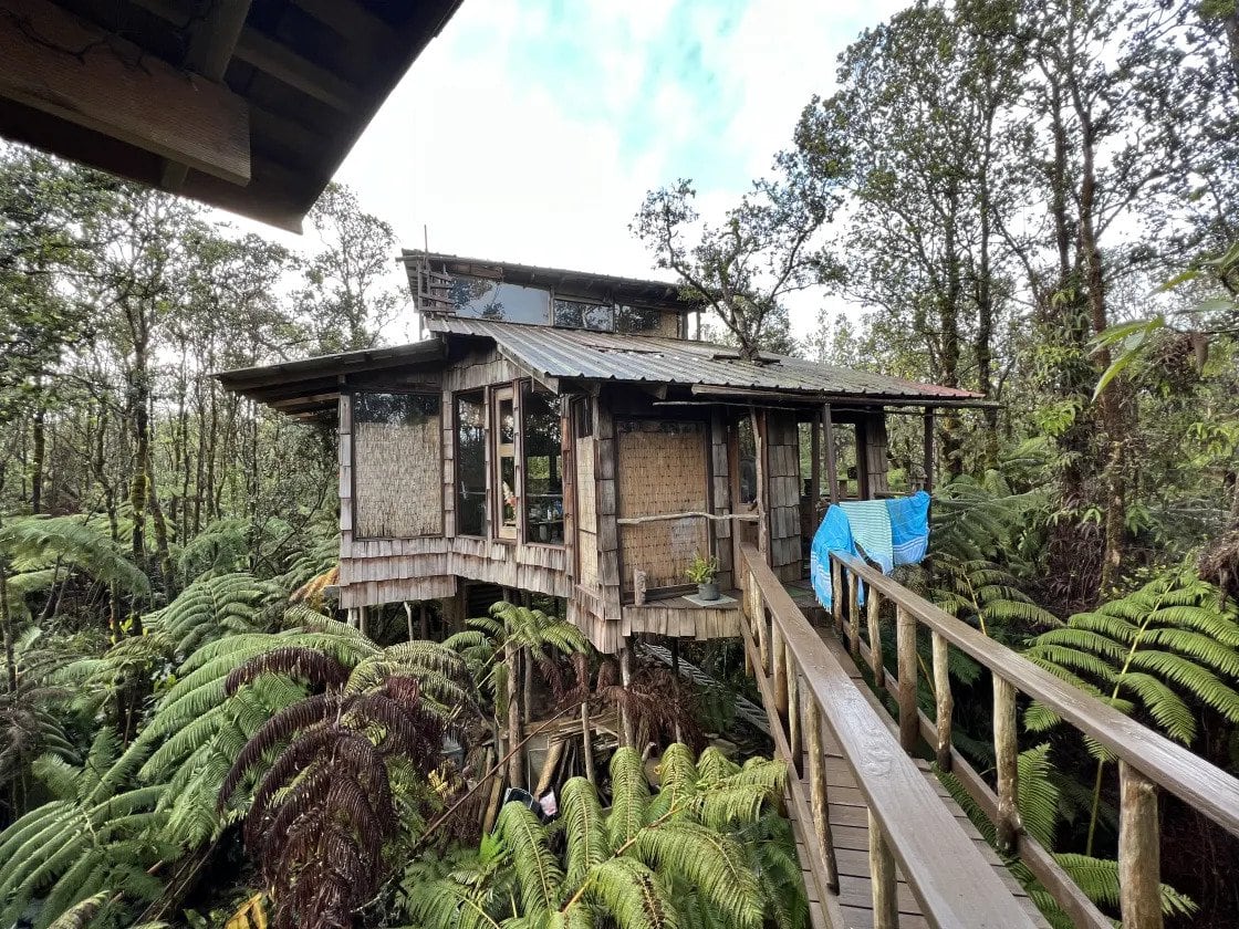 Volcano Treehouse