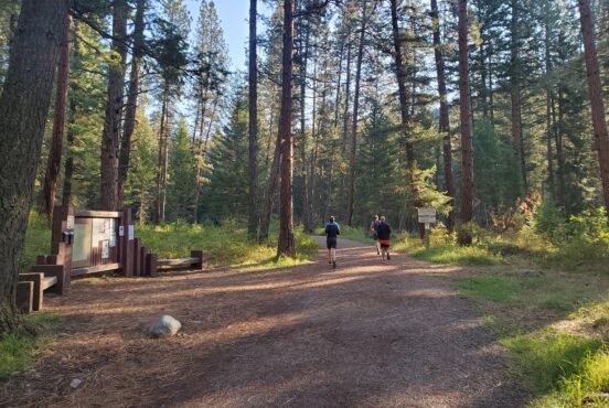 walking on a trail in the woods