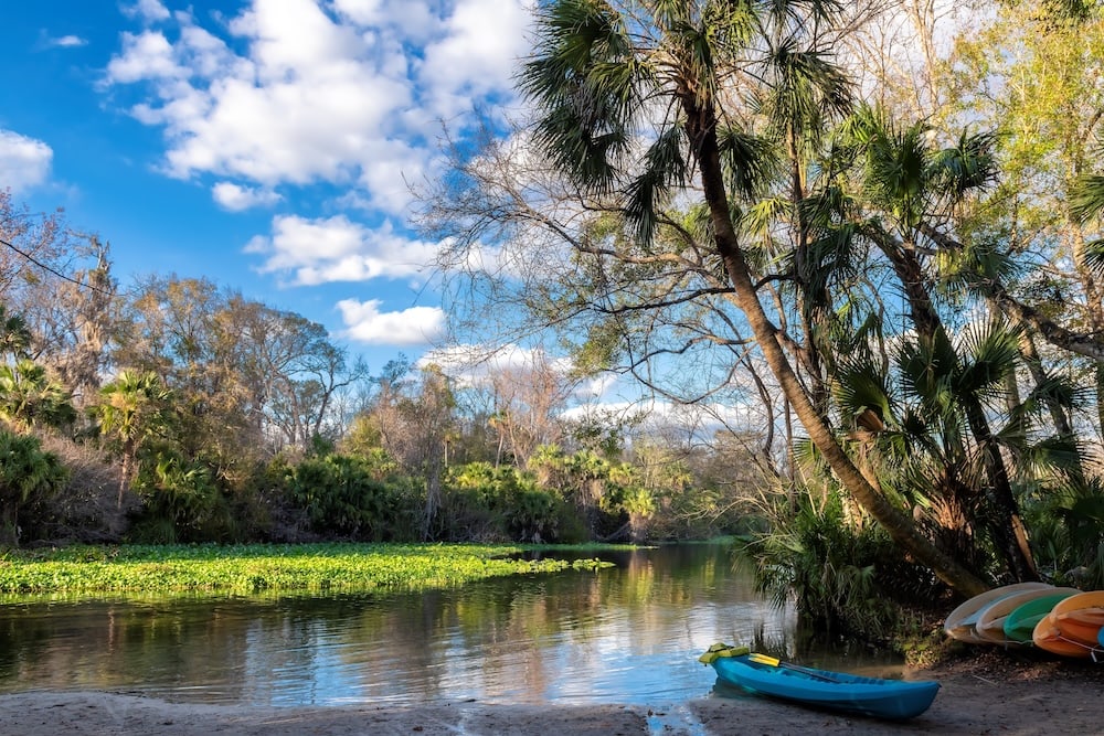 Wekiwa Springs