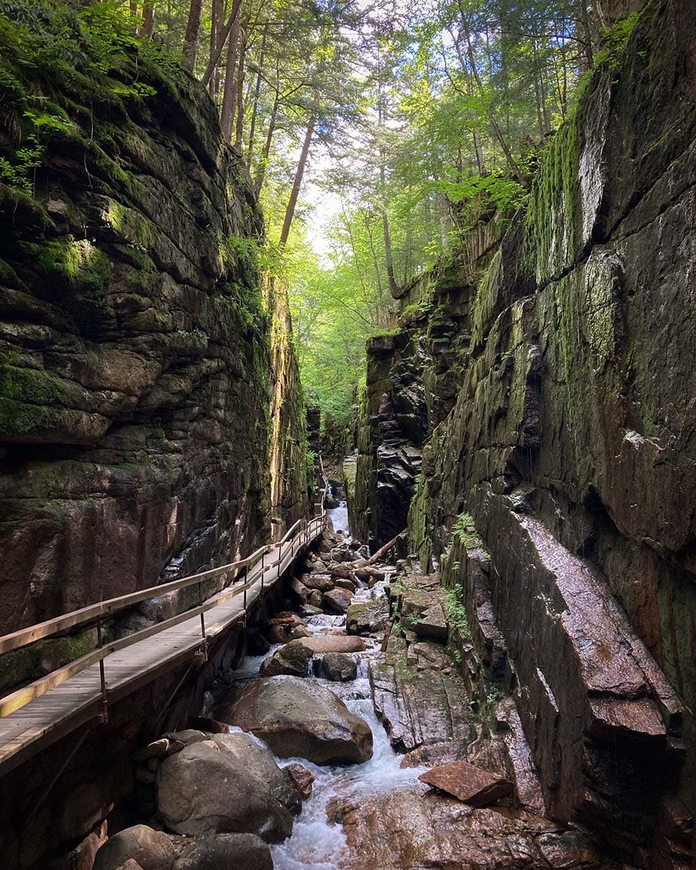 white mountains hikes - flume gorge