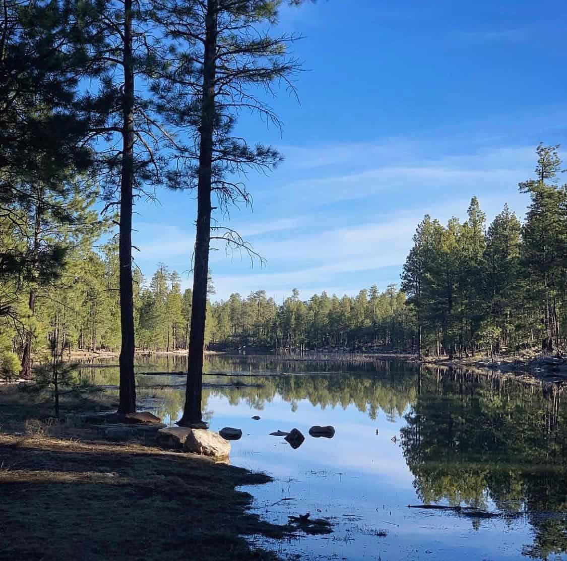 willow springs lake mogollon rim
