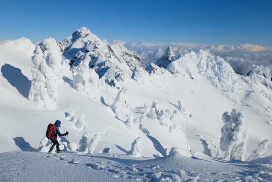 winter in olympic national park