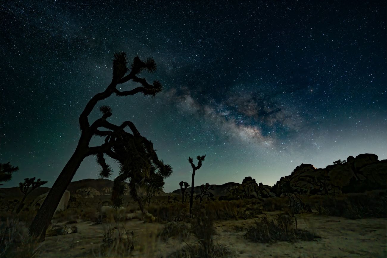 winter stargazing joshua tree