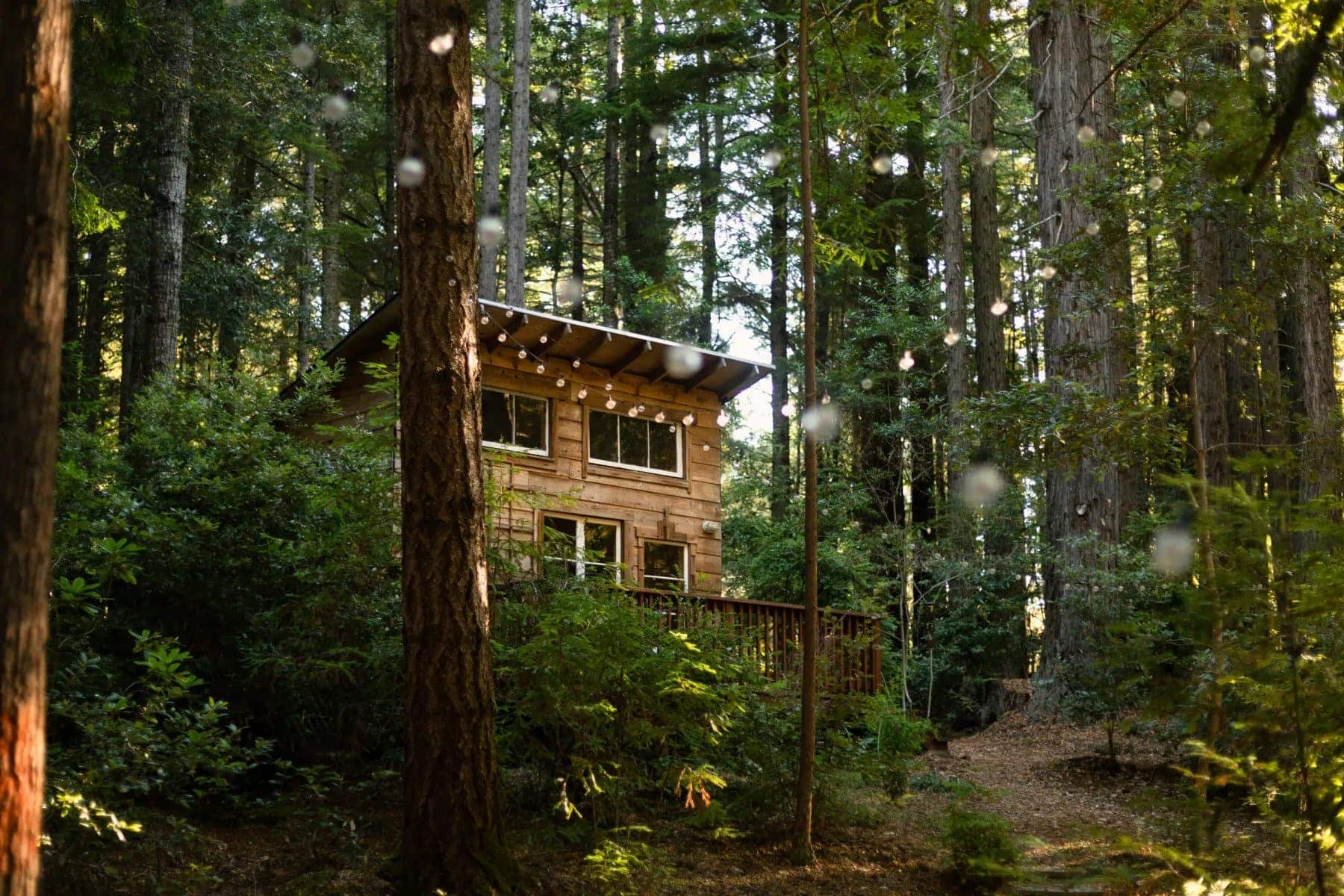 woods by the sea ashram