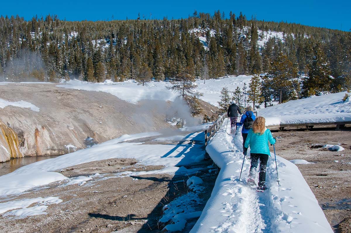 yellowstone winter snowshoe